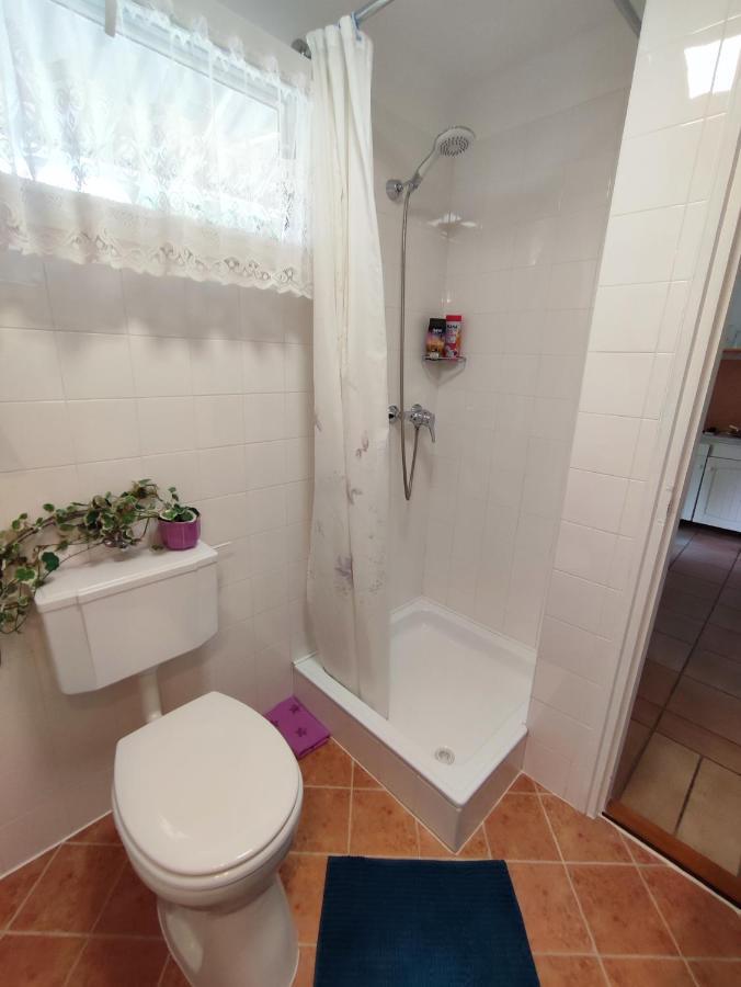 שיופוק Apartman Valentin מראה חיצוני תמונה
